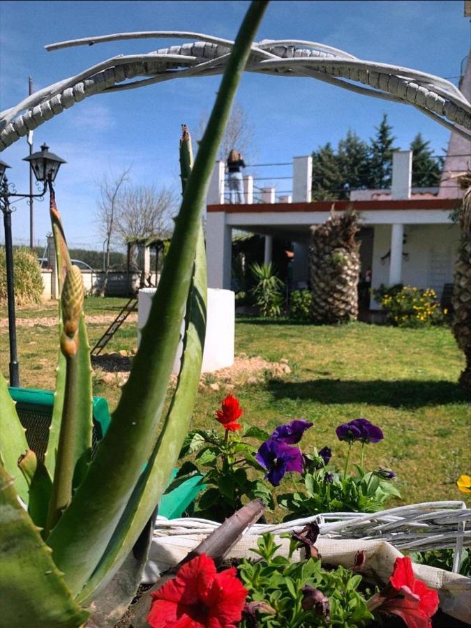Hotel Rural Villa Torreaguila Μπανταχόθ Εξωτερικό φωτογραφία